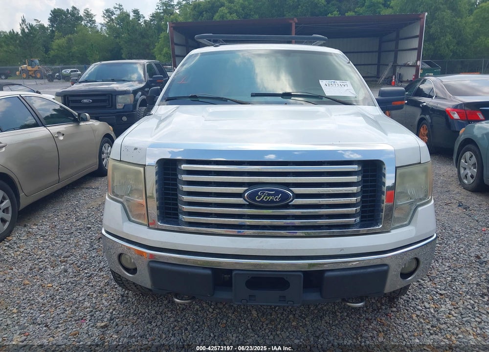2010 FORD F-150 VIN: 1FTEW1E80AKA75716