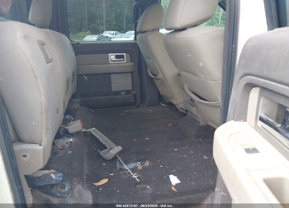 2010 FORD F-150 VIN: 1FTEW1E80AKA75716