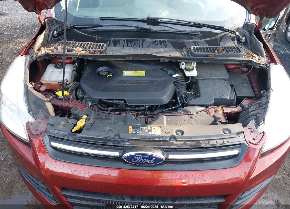 2014 FORD ESCAPE VIN: 1FMCU0GX2EUB56394