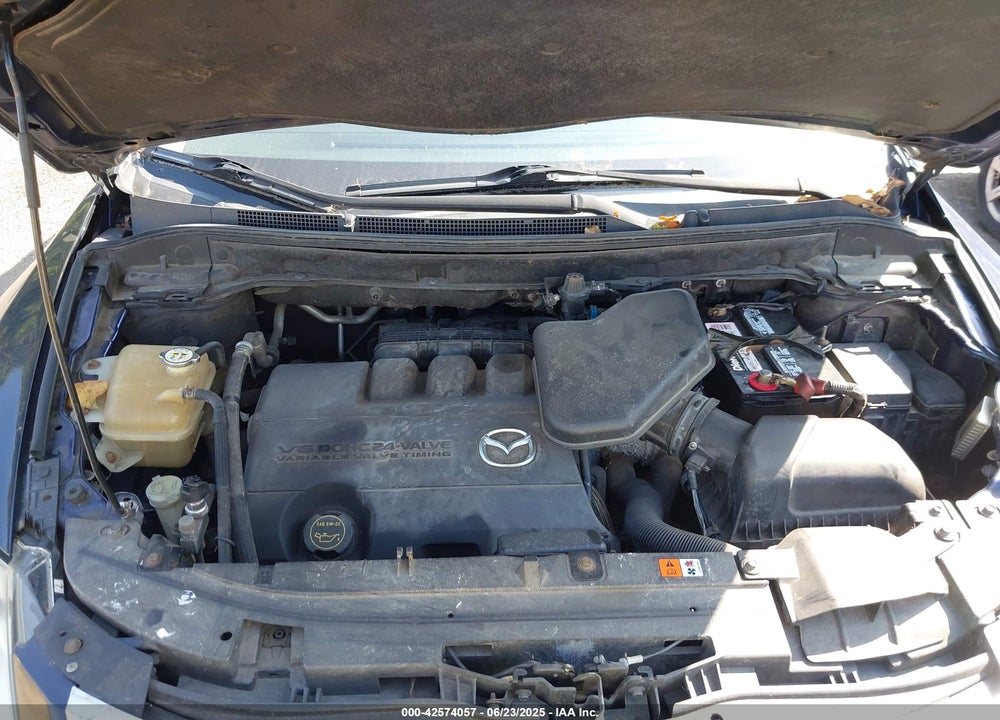2009 MAZDA CX-9 VIN: JM3TB38VX90177538