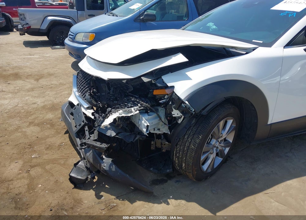 2021 MAZDA CX-30 VIN: 3MVDMBBL9MM313039