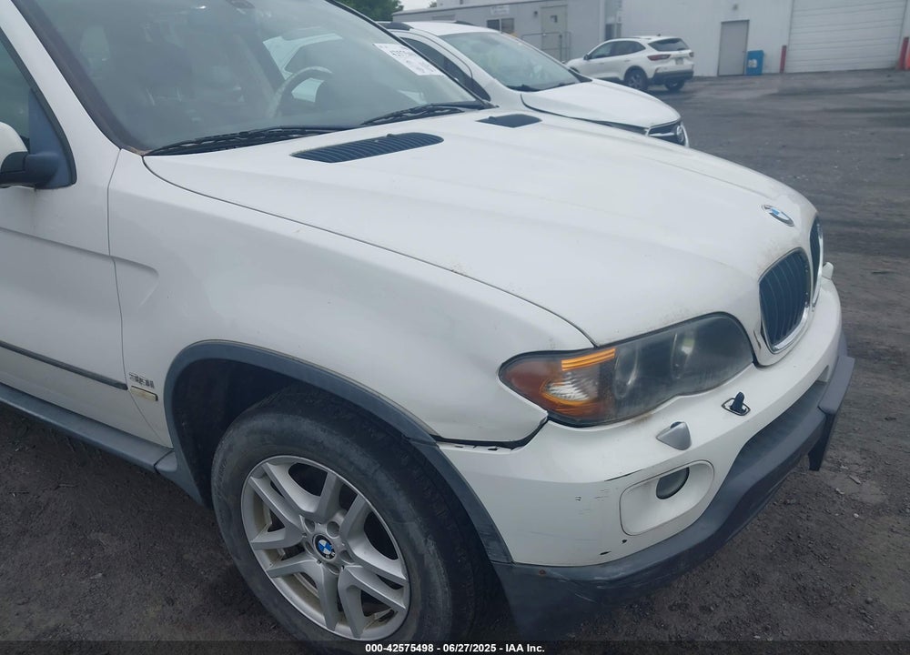 2006 BMW X5 VIN: 5UXFA13506LY24798