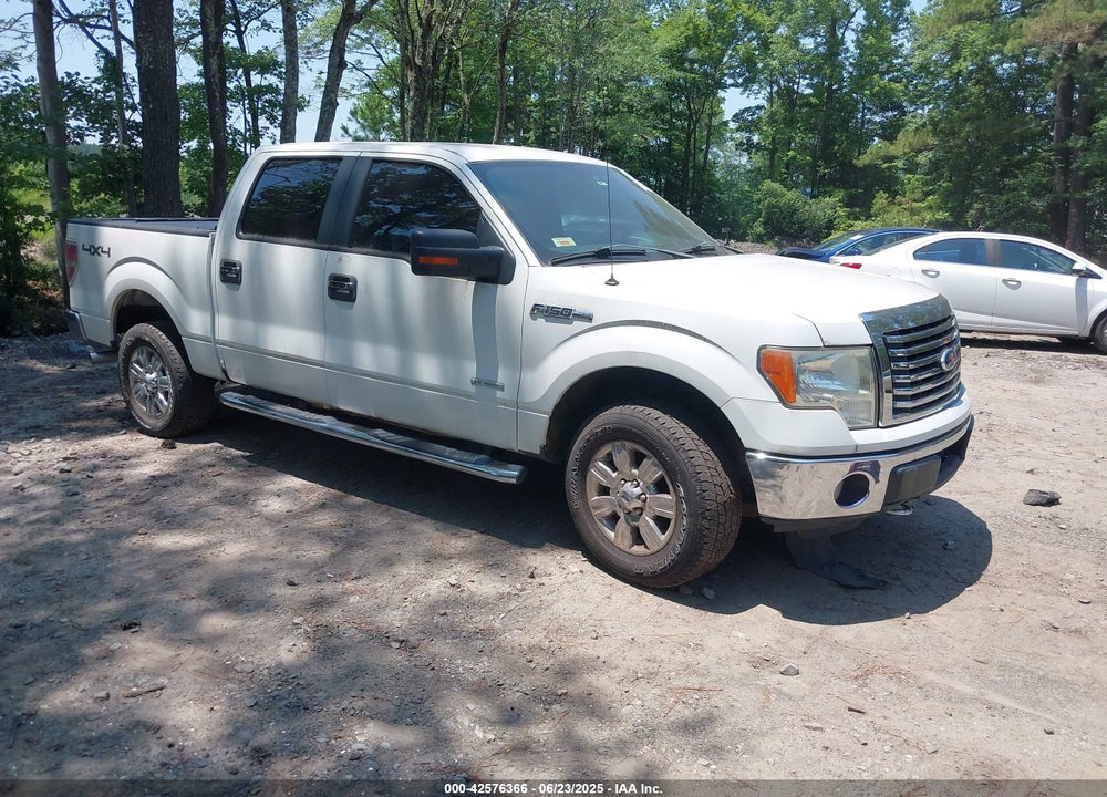 2011 FORD F-150 XLT VIN: 1FTFW1ET3BFB56681