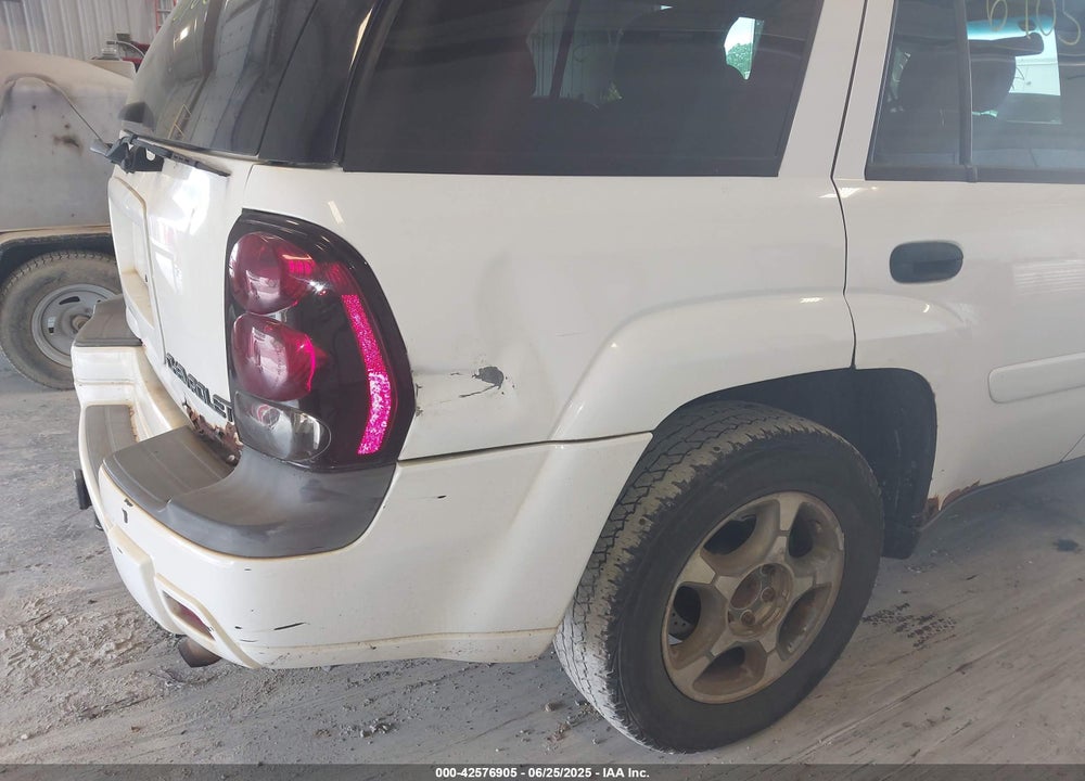 2002 CHEVROLET TRAILBLAZER LS VIN: 1GNDT13S722321754