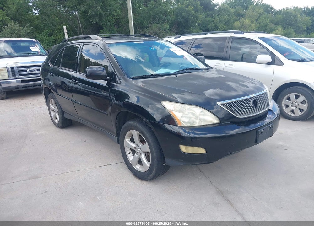 2004 LEXUS RX 330 VIN: JTJGA31U340006120