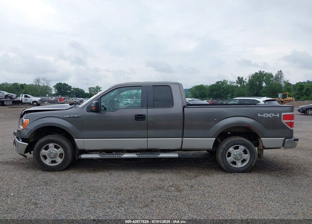 2013 FORD F-150 VIN: 1FTFX1EF3DFA21422
