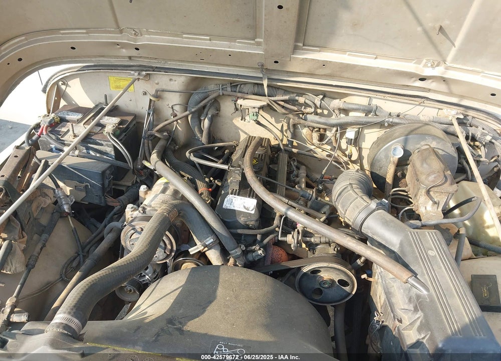 1995 JEEP WRANGLER / YJ VIN: 1J4FY19P1SP286888