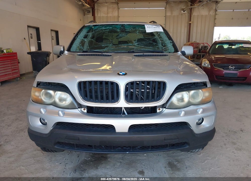 2006 BMW X5 VIN: 5UXFA135X6LY44590