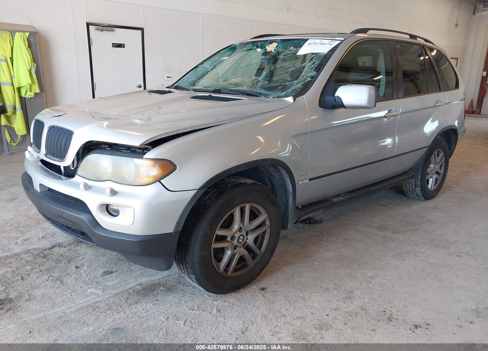 2006 BMW X5 VIN: 5UXFA135X6LY44590