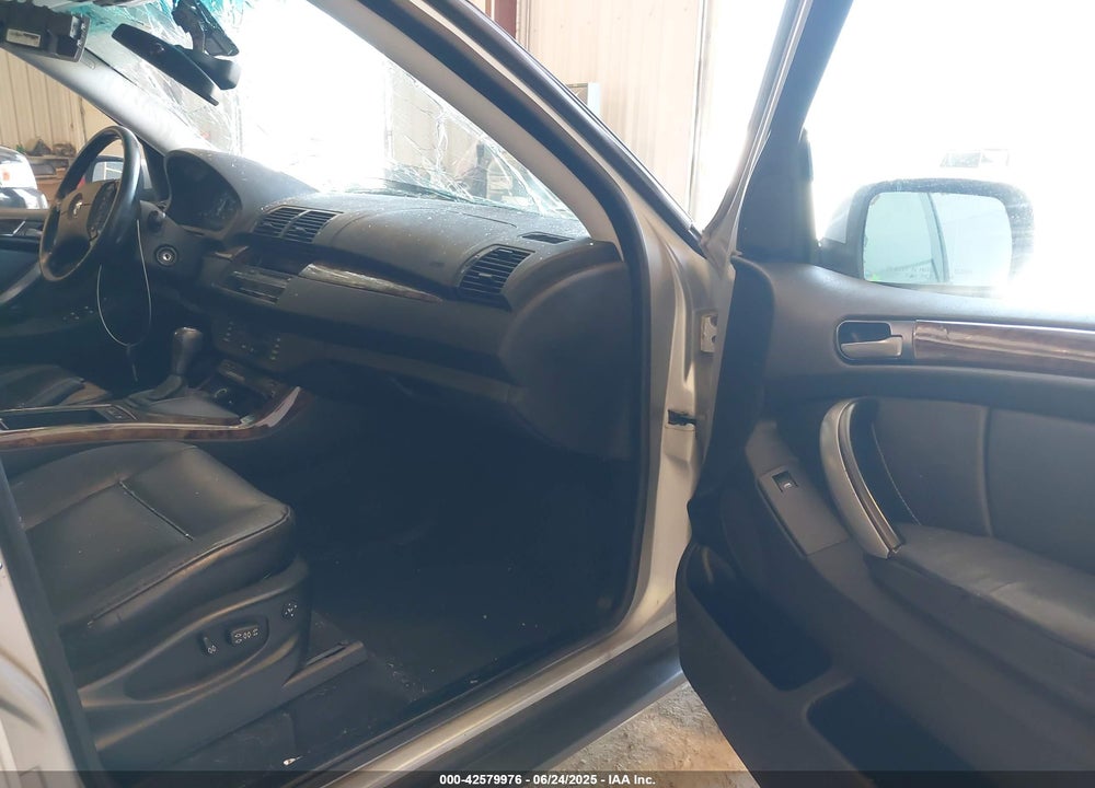 2006 BMW X5 VIN: 5UXFA135X6LY44590