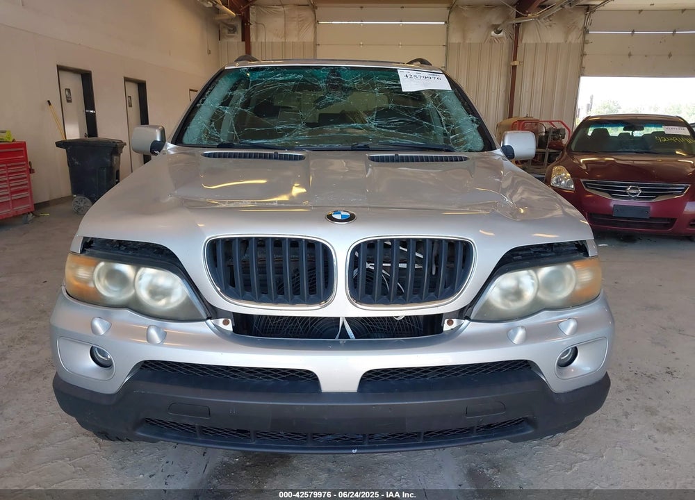 2006 BMW X5 VIN: 5UXFA135X6LY44590