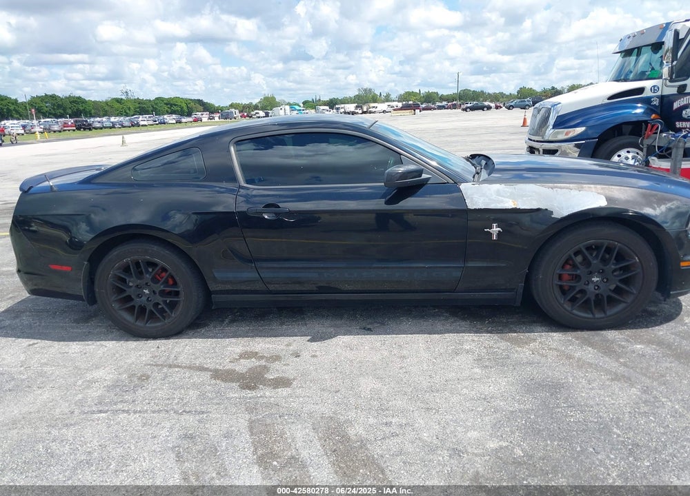2013 FORD MUSTANG VIN: 1ZVBP8AM5D5263496