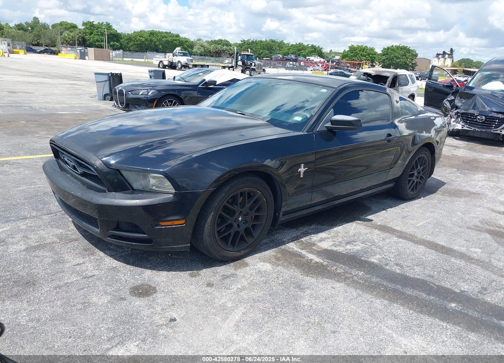 2013 FORD MUSTANG VIN: 1ZVBP8AM5D5263496