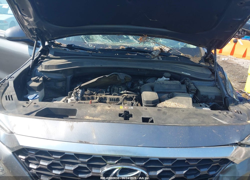 2019 HYUNDAI SANTA FE VIN: 5NMS33AD6KH131018
