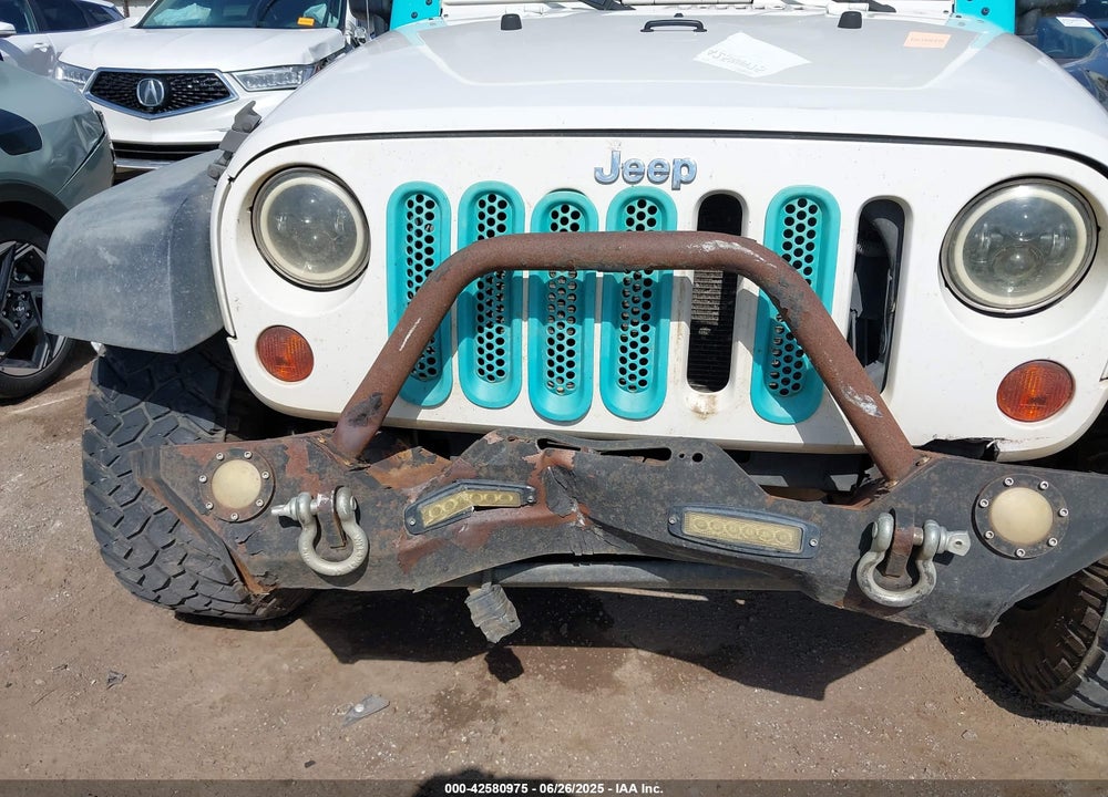 2009 JEEP WRANGLER UNLIMITED VIN: 1J4GA69129L755196