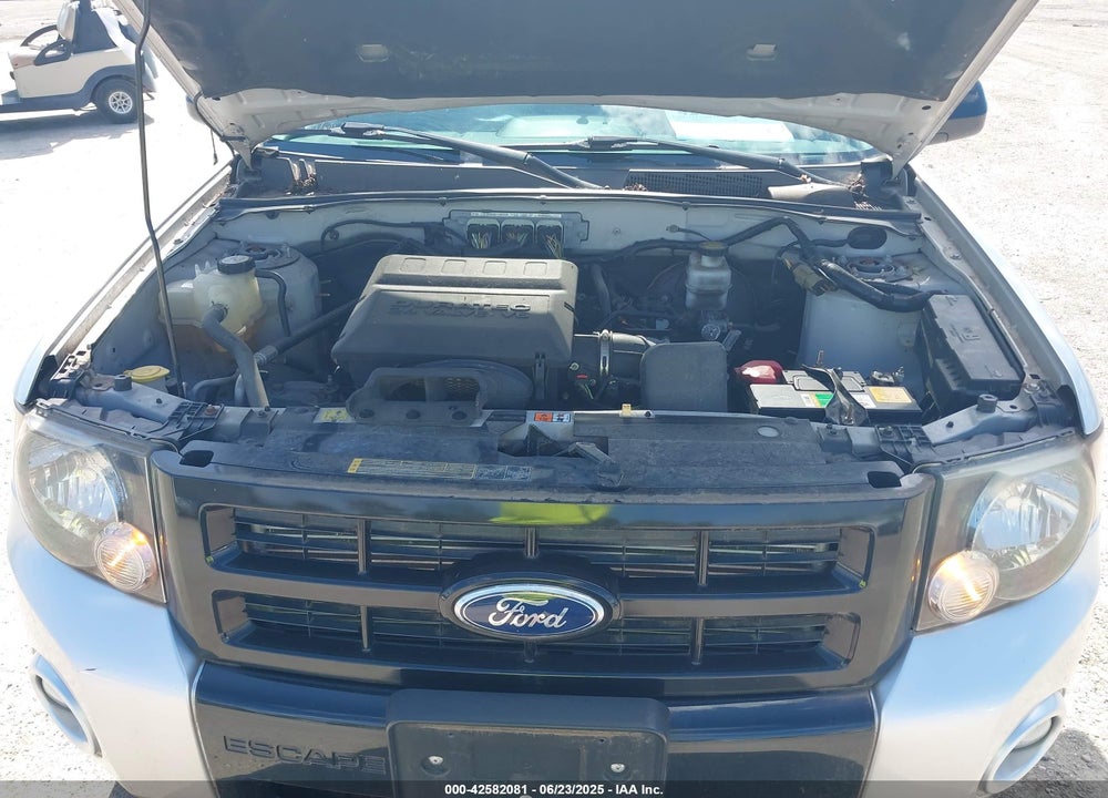 2010 FORD ESCAPE XLT VIN: 1FMCU0DG8AKB62288