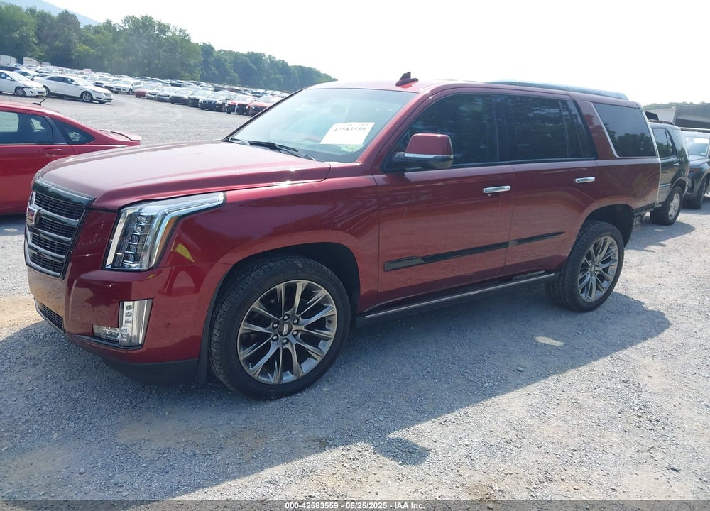 2020 CADILLAC ESCALADE VIN: 1GYS4CKJ3LR253540