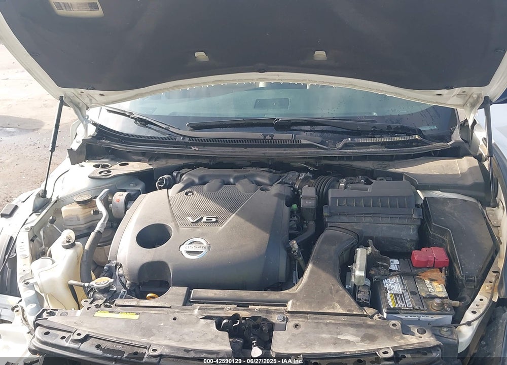 2010 NISSAN MAXIMA VIN: 1N4AA5AP8AC823842