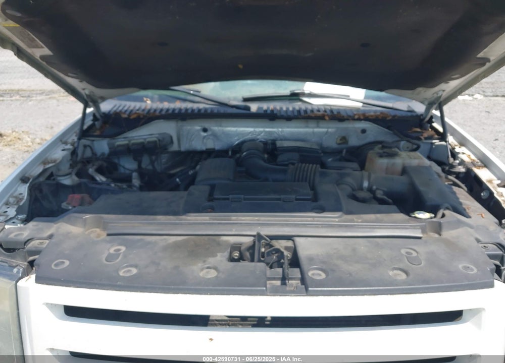 2010 FORD EXPEDITION VIN: 1FMJU1K57AEA07048