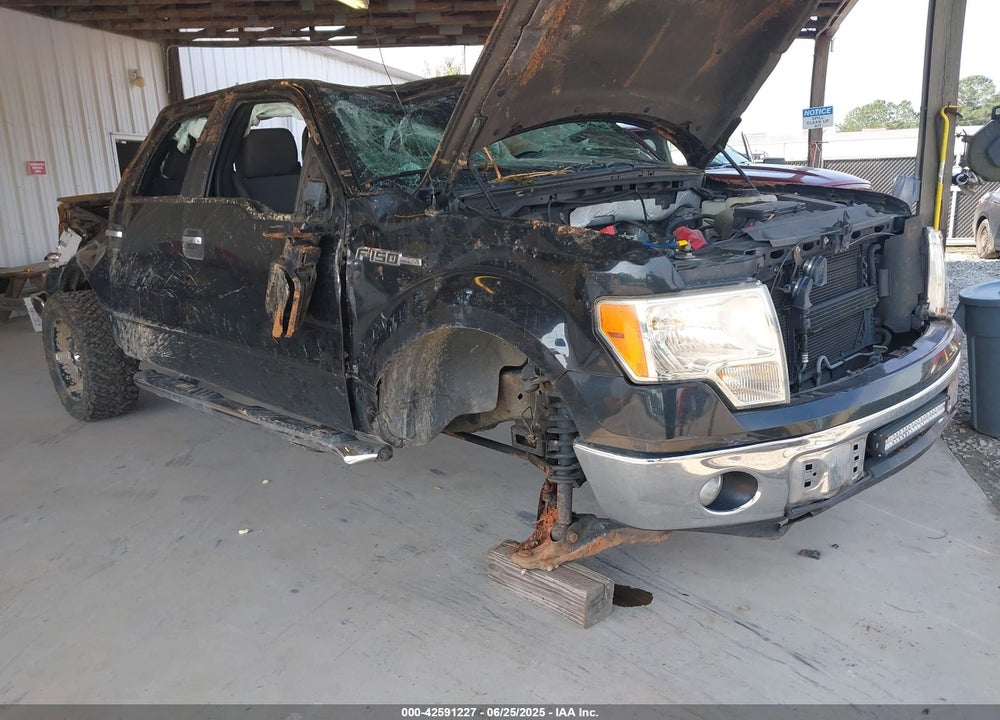 2012 FORD F-150 XLT VIN: 1FTFW1CF1CFA08916