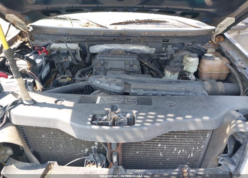 2006 FORD F-150 VIN: 1FTPX12V66NB87667