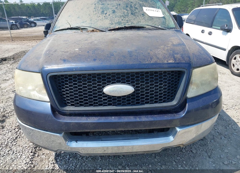 2006 FORD F-150 VIN: 1FTPX12V66NB87667