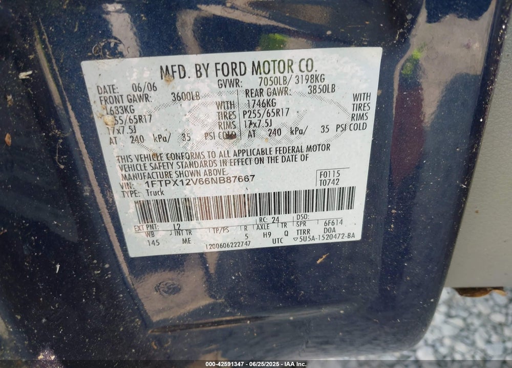 2006 FORD F-150 VIN: 1FTPX12V66NB87667