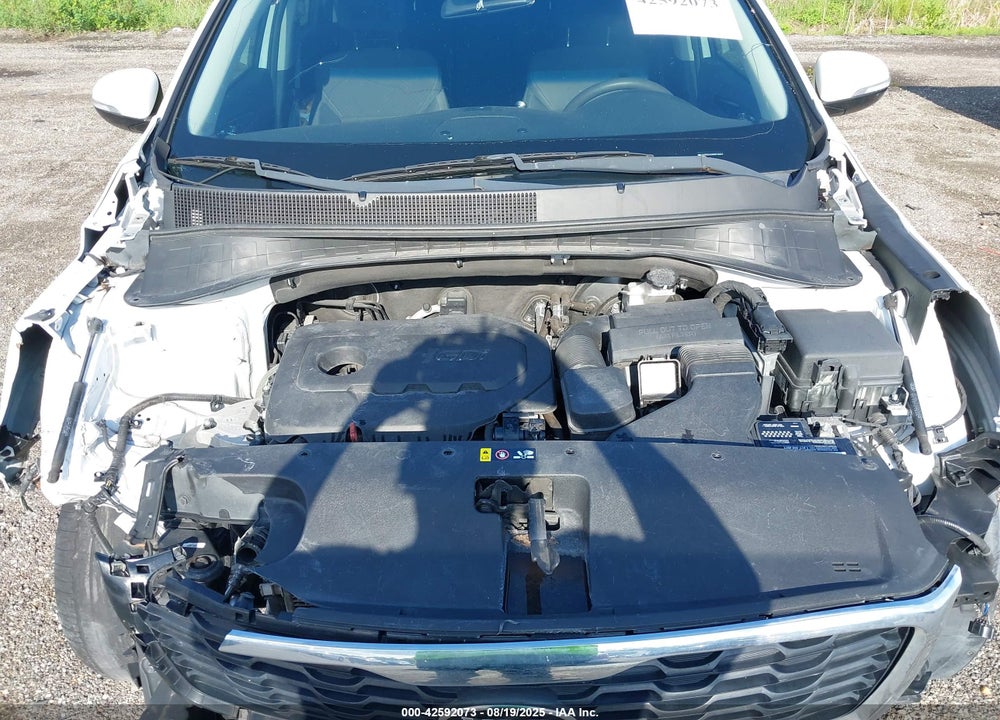 2019 KIA SORENTO VIN: 5XYPG4A39KG516624