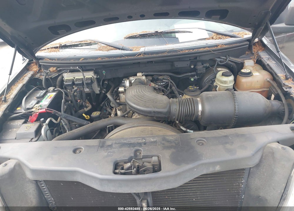 2005 FORD F-150 STX/XL/XLT VIN: 1FTRX12W15FB66395