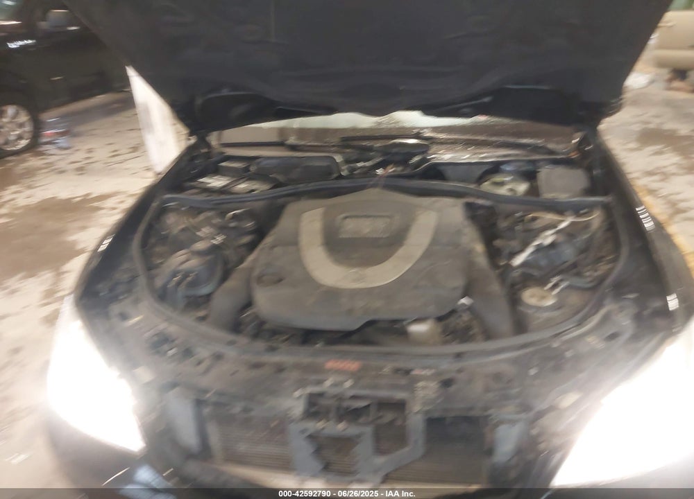 2010 MERCEDES-BENZ S CLASS VIN: WDDNG7BB4AA289250