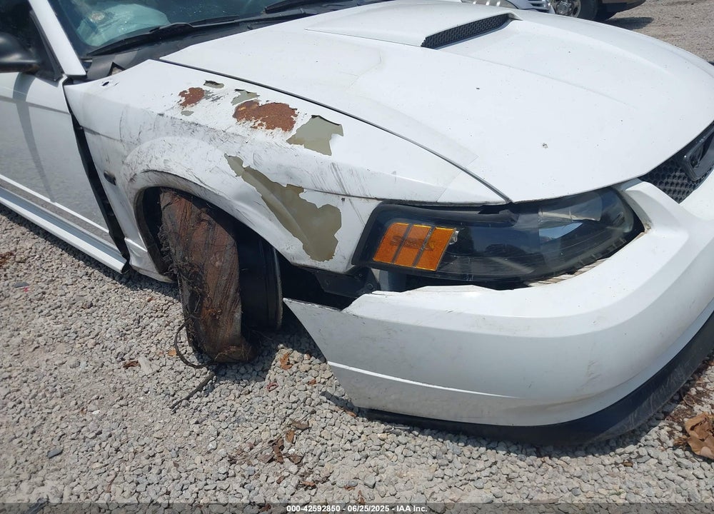 2000 FORD MUSTANG GT VIN: 1FAFP42X2YF293616