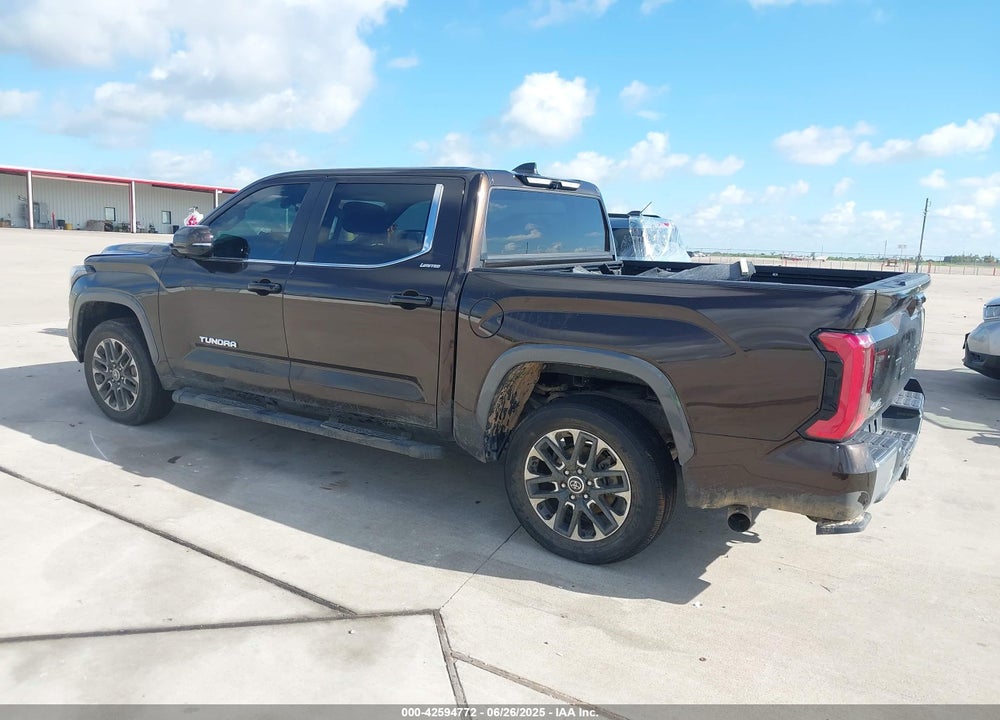 2024 TOYOTA TUNDRA VIN: 5TFJA5DB7RX131246