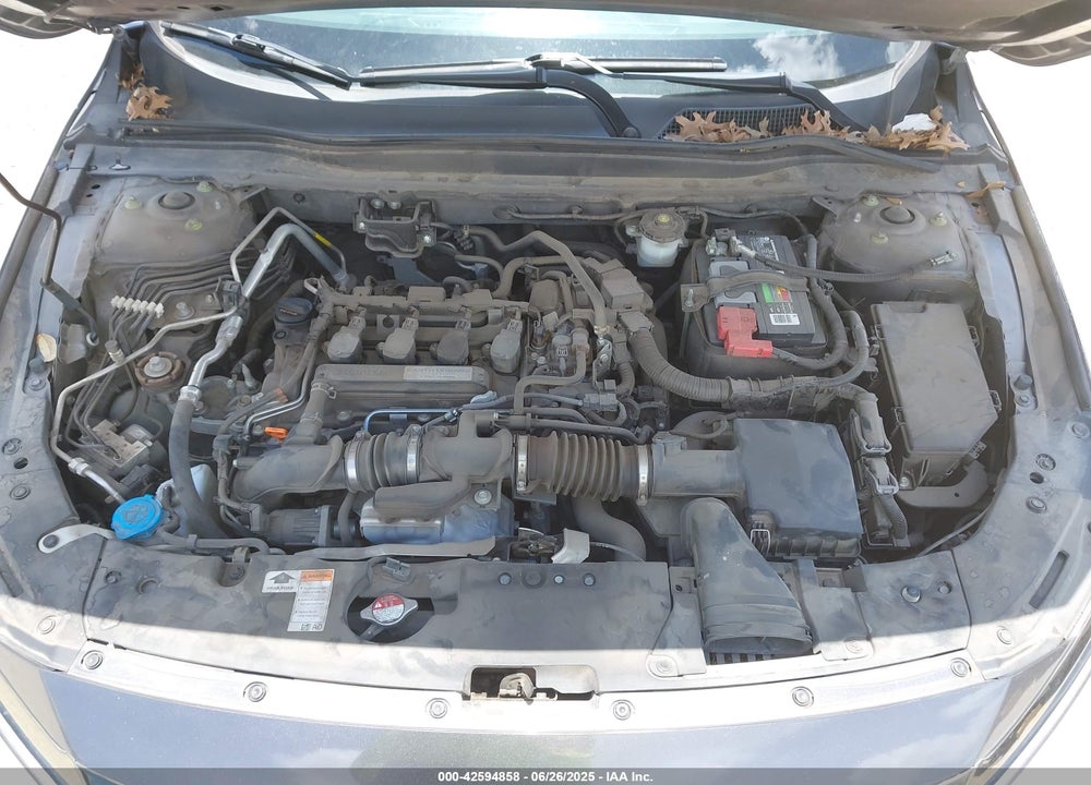 2019 HONDA ACCORD VIN: 1HGCV1F30KA156270