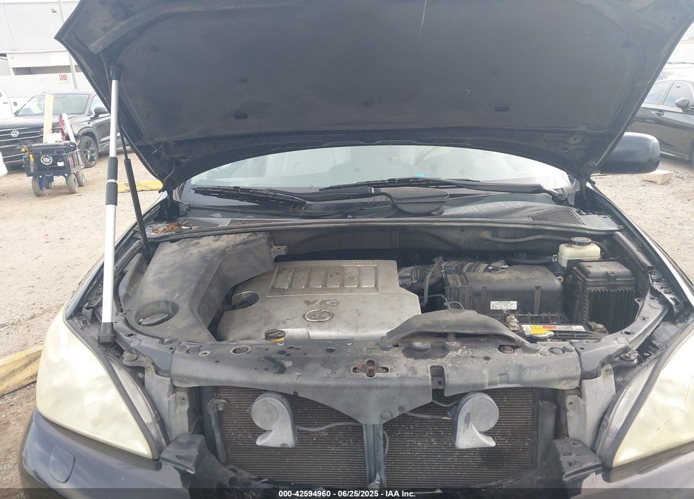 2007 LEXUS RX 350 VIN: 2T2GK31U87C003803