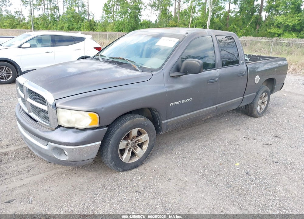 2002 DODGE RAM 1500 ST VIN: 1D3HA18Z22J214386