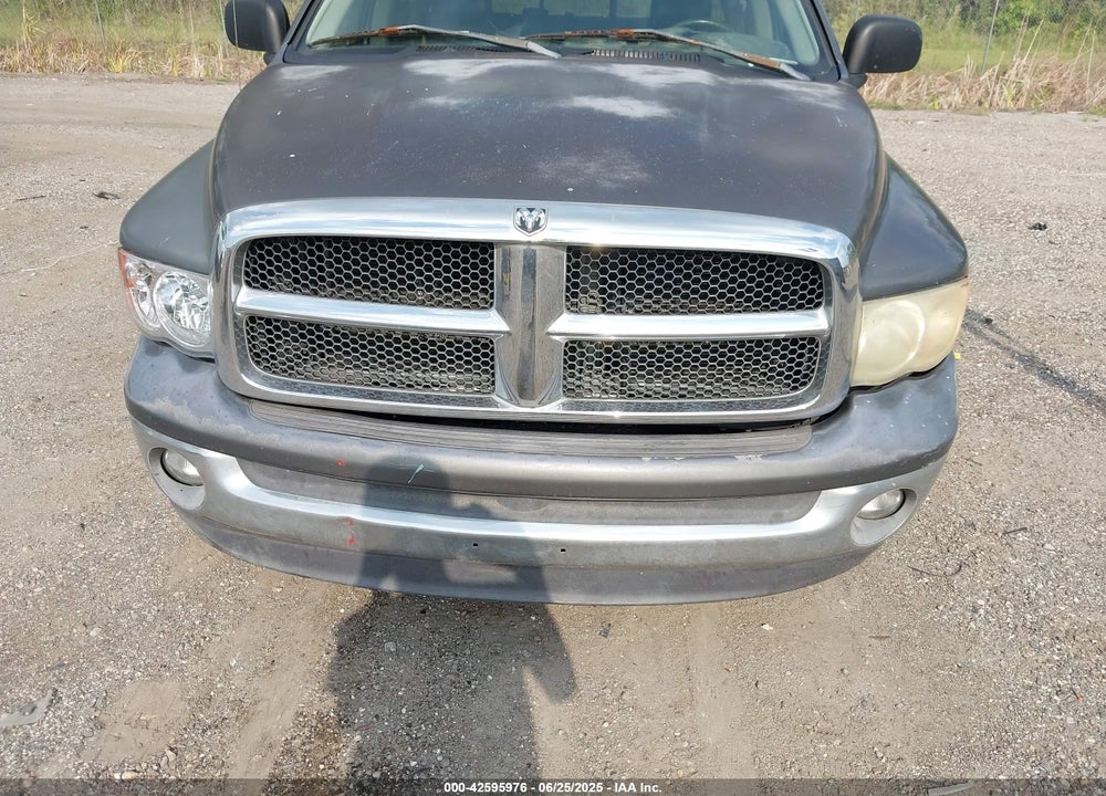 2002 DODGE RAM 1500 ST VIN: 1D3HA18Z22J214386
