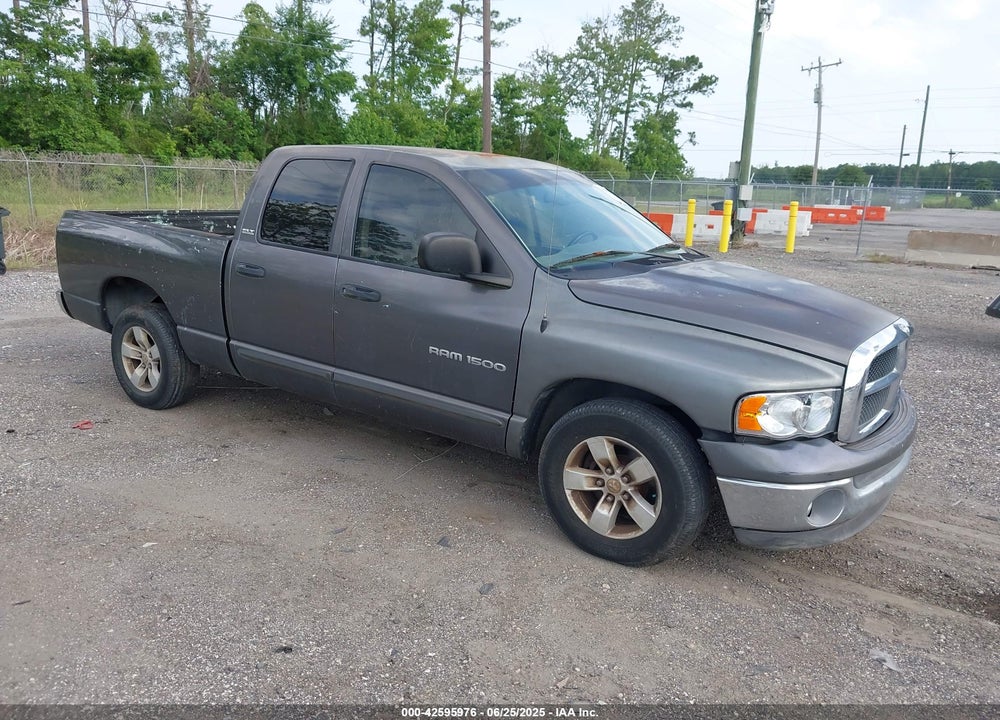 2002 DODGE RAM 1500 ST VIN: 1D3HA18Z22J214386