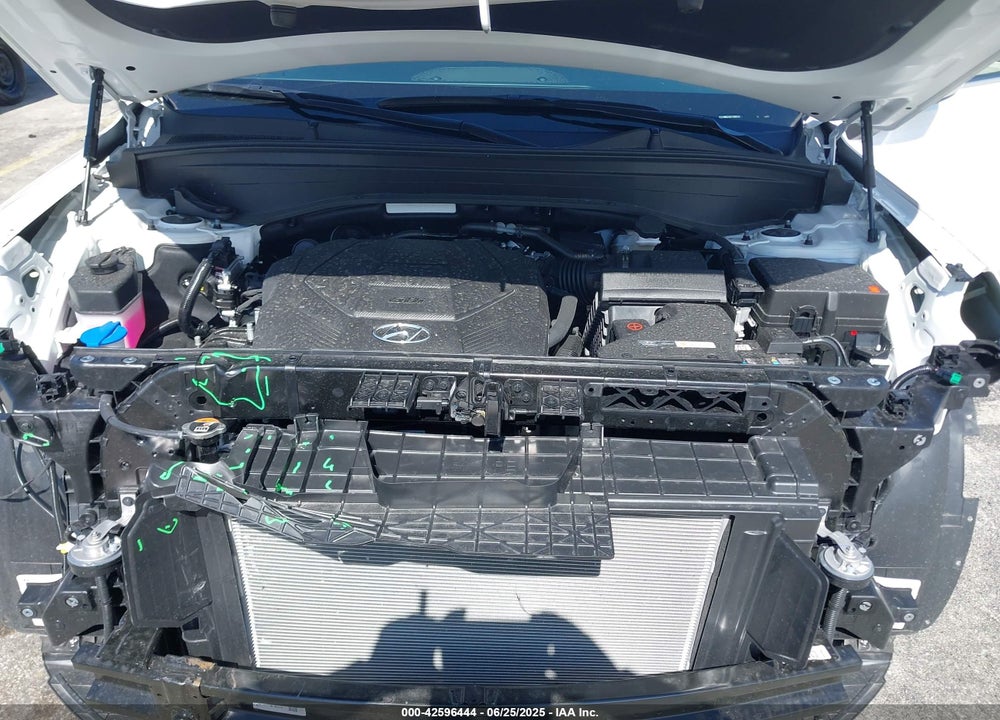 2025 HYUNDAI PALISADE SEL VIN: KM8R24GE7SU880101
