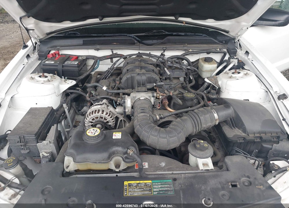 2006 FORD MUSTANG V6 VIN: 1ZVFT84N665255606