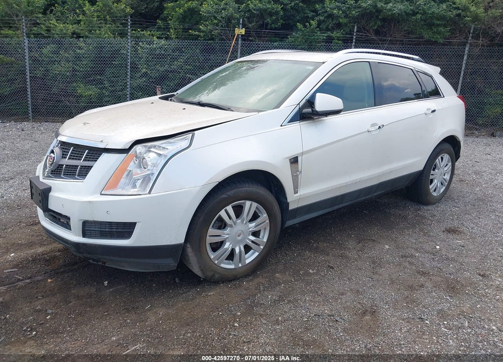2011 CADILLAC SRX LUXURY COLLECTION VIN: 3GYFNDEY6BS527404