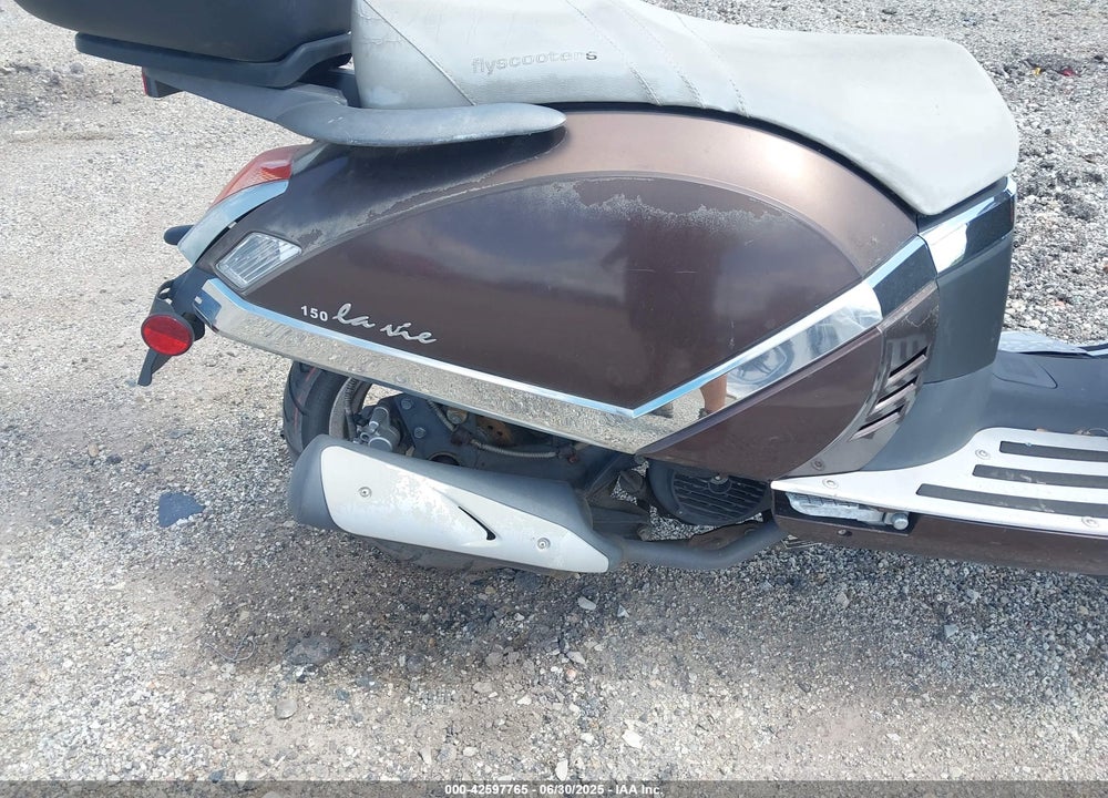 2009 FLYSCOOTERS LA VIE VIN: L5YTCKPB191113172