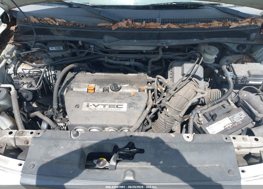 2006 HONDA ELEMENT EX-P VIN: 5J6YH28786L014660