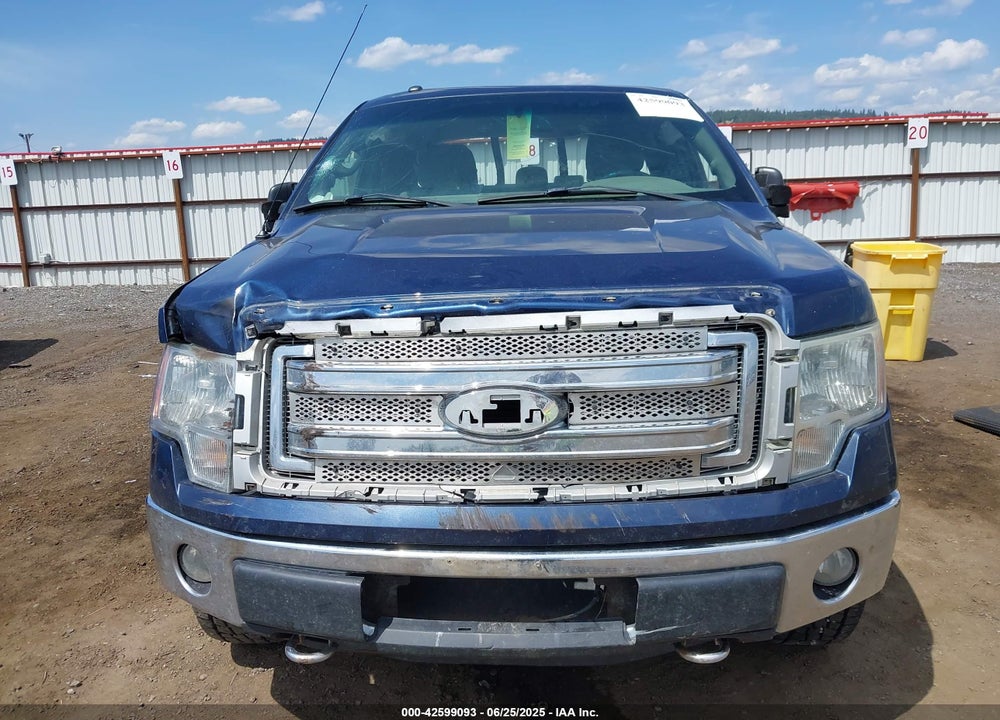 2013 FORD F-150 VIN: 1FTFX1EF6DFB32742