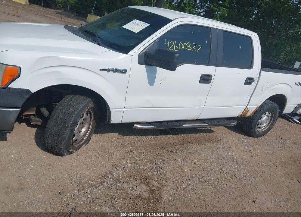 2013 FORD F-150 XL VIN: 1FTFW1EF1DKE83617