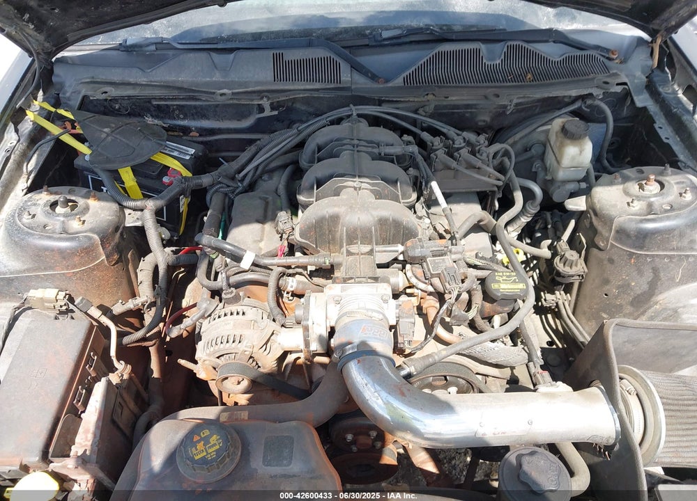 2010 FORD MUSTANG VIN: 1ZVBP8AN0A5156120