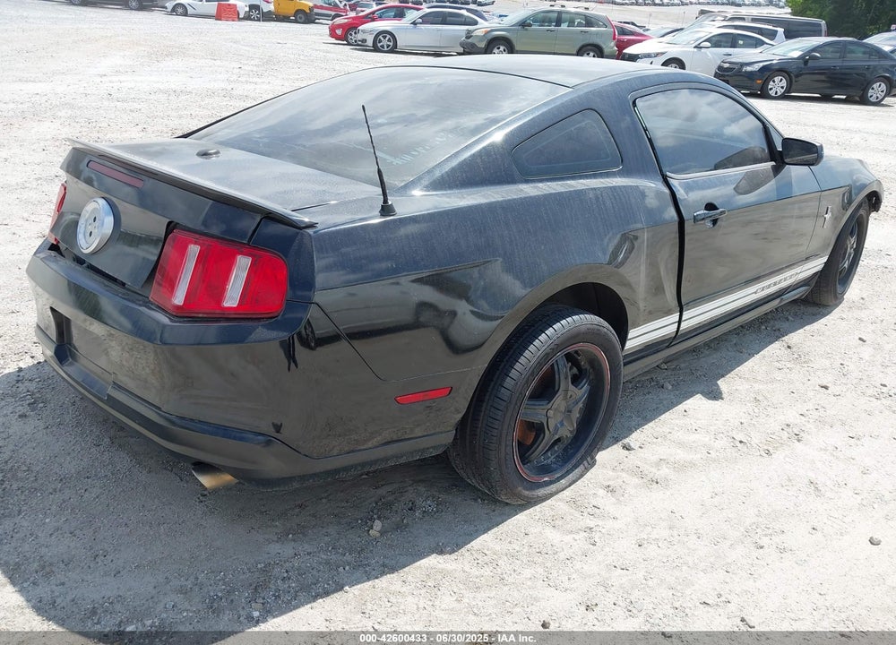 2010 FORD MUSTANG VIN: 1ZVBP8AN0A5156120