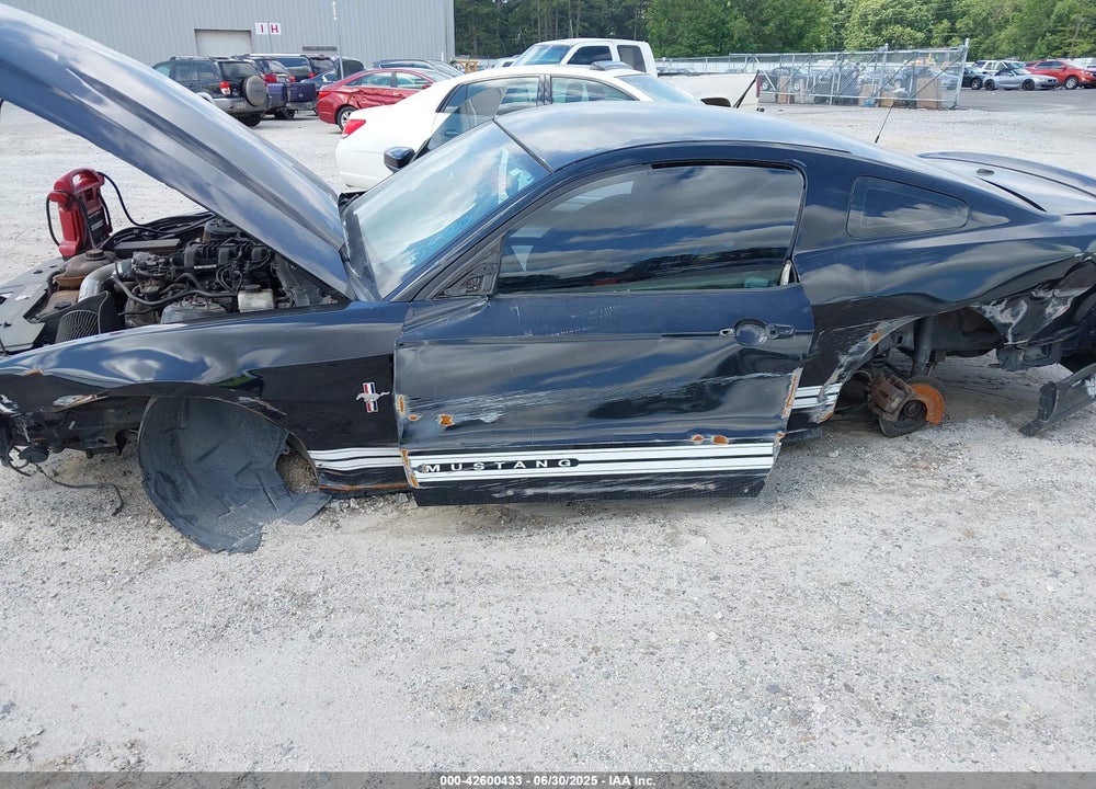 2010 FORD MUSTANG VIN: 1ZVBP8AN0A5156120