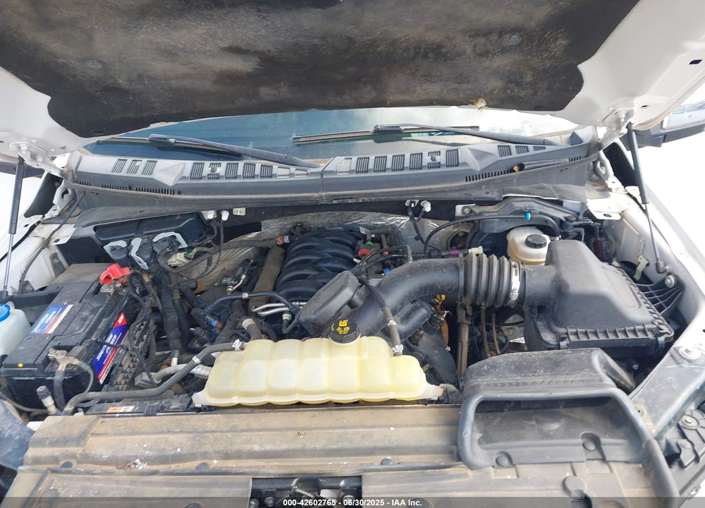 2019 FORD F-150 VIN: 1FTEW1E51KFB57759