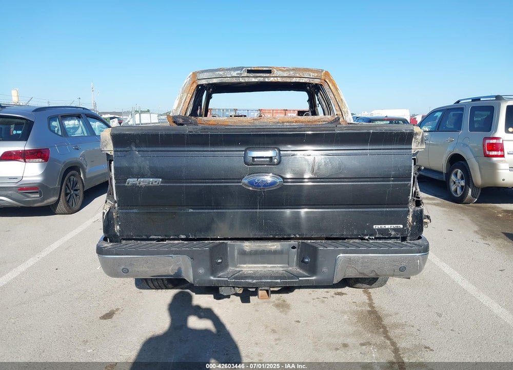 2012 FORD F-150 VIN: 1FTFW1EF9CFA36931