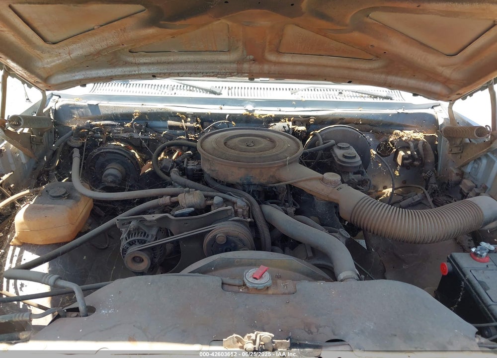 1989 DODGE D-SERIES D150 VIN: 1B7HE16Y0KS184189